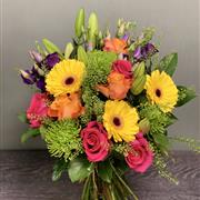 Bursts of Colour
