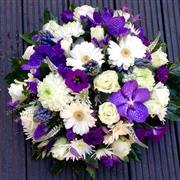 Purple White Posy