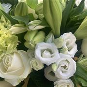 White and Green