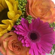 Vibrant Colours 