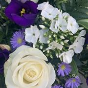 Purple and White
