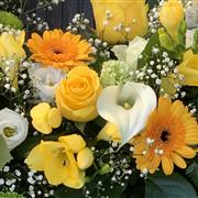 Yellow and White 